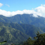 ブルーマウンテン（カフェなび取材班）